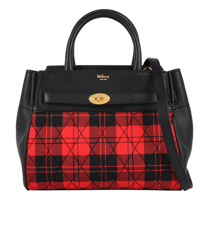 Small Belted Bayswater, front view